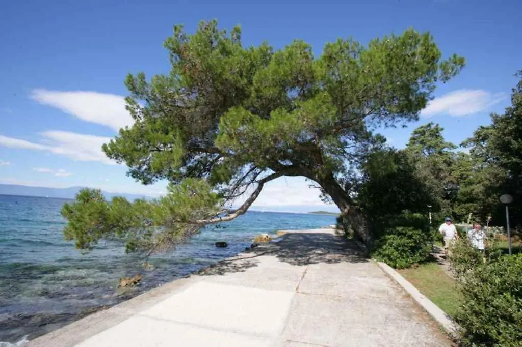 Apartments In Malinska/Insel Krk 14366